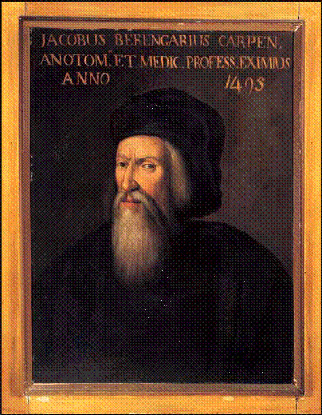 Berengario da Carpi's portrait 3.gif